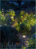 in-lite Sway Low in-lite Sway Low