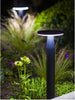 in-lite Disc Low in-lite Disc Low