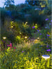 in-lite Sway Low in-lite Sway Low