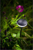 in-lite Sway in-lite Sway