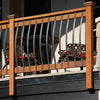 Deckorators Arc Baluster – 32 1/4" – 5 pack (colour options) Deckorators Arc Baluster – 32 1/4" – 5 pack (colour options)