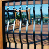 Deckorators Baroque Baluster – 32 3/16" – Contractor 60 pack (colour options) Deckorators Baroque Baluster – 32 3/16" – Contractor 60 pack (colour options)