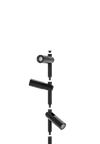 in-lite AIM